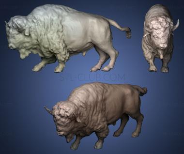 3D model bison (STL)
